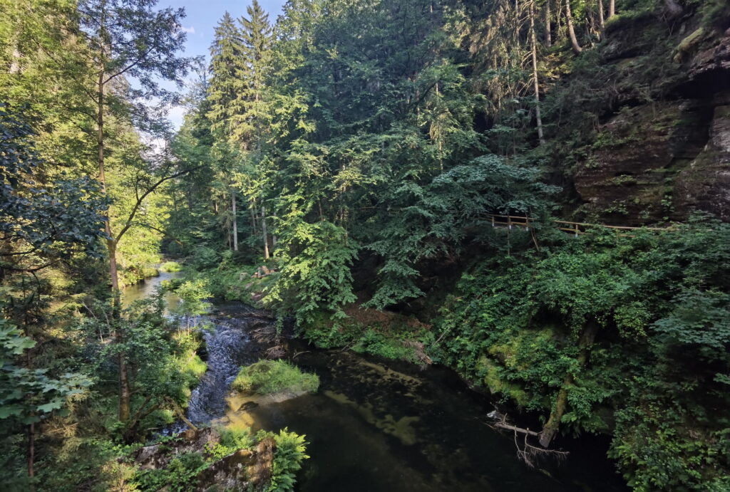 Kamnitzklamm - wildromantische Klamm mit Wasser, Wald und Felsen