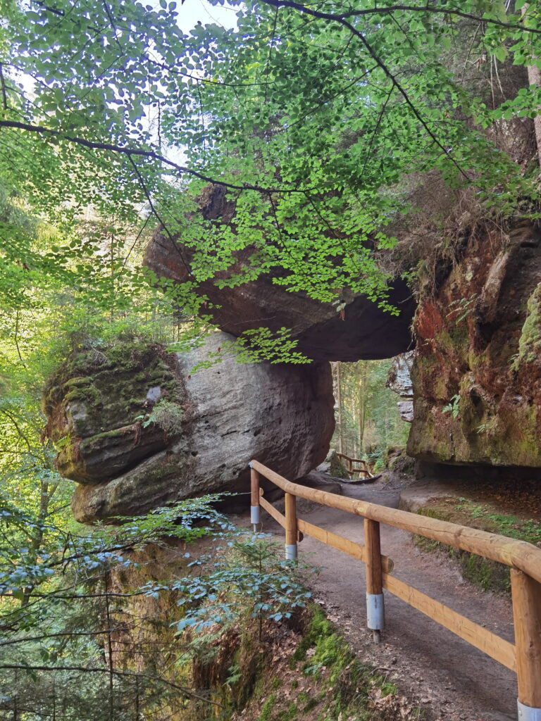 Viele großen Felsen prägen die Kamnitzklamm Wanderung